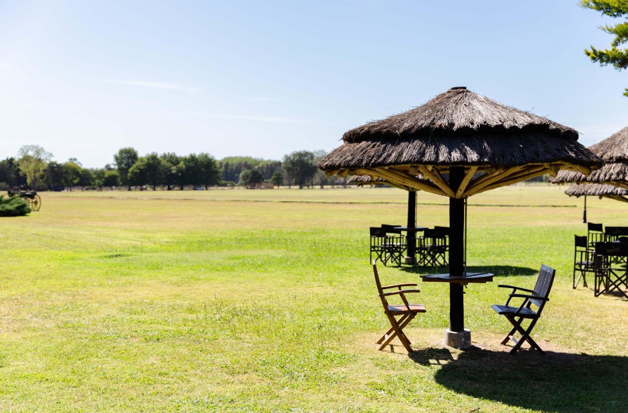 Terranova Glamping *